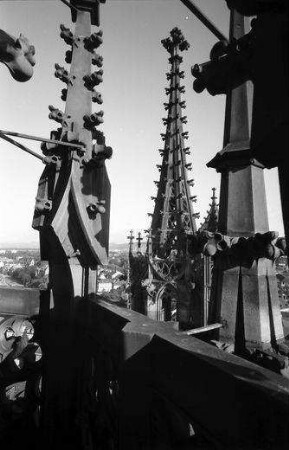 Basel: Blick vom Münster, Maßwerk Türmchen