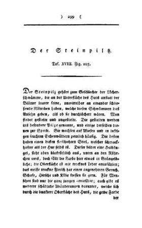 ¬Der¬ Steinpilz : Taf. XVIII, Fig. 125