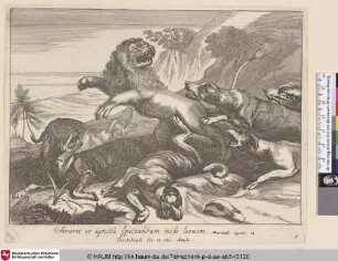 [Löwenjagd; Lion hunt]