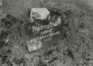 Friedenseiche