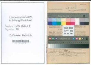 Entnazifizierung Heinrich Driffmeier , geb. 10.07.1905 (Anstreicher)