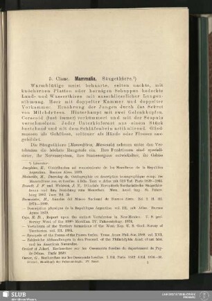 [VII. Stamm. Vertebrata. Wirbelthiere (Fortsetzung)]