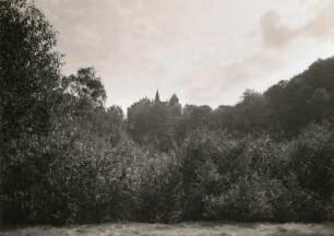 Döben, Grimma. Schloss. Blick von der Muldenaue bei Dorna