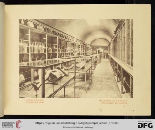 Interno del Museo - Intérieur du Musée - The Interior of the Museum - Innenansicht des Museums
