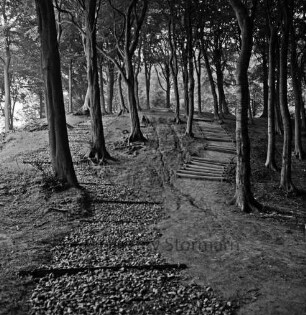 Hoisbüttel: Schüberg [auch: Schübarg]: Naherholungsgebiet: rechts Wanderweg im Wald mit Holzbohlen