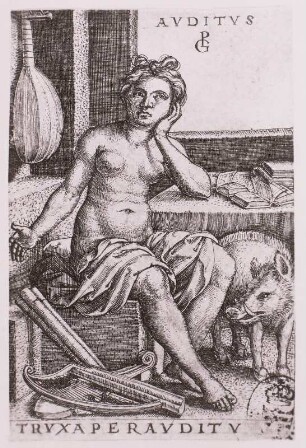 Das Gehör