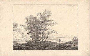 Landschaft mit einsamen Wanderer