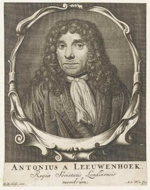 Bildnis des Antonius a Leeuwenhoek