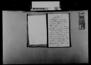 Schreiben von Carl Eckhard, Offenburg, an August Lamey: Verhandlungen des badischen Landtags.