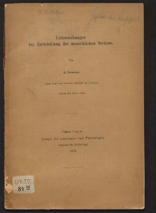 Untersuchungen zur Entwicklung des menschlichen Beckens
