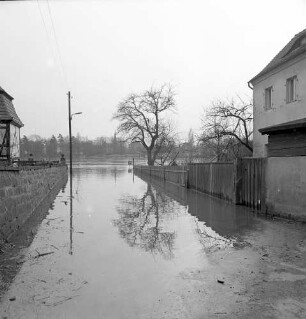 Dresden-Loschwitz. Elbehochwasser Frühjahr 1988. Friedrich-Wieck-Straße