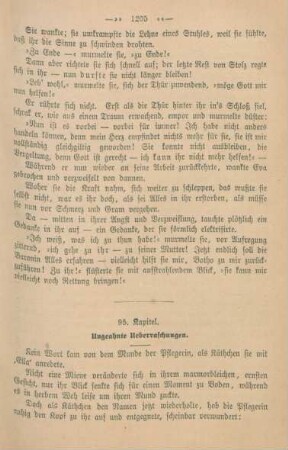 95. Kapitel. Ungeahnte Ueberraschungen.