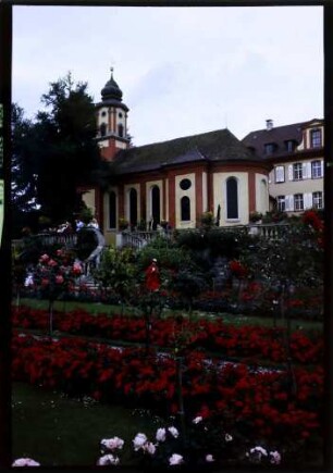 Insel Mainau: Rosenanlage mit Schlosskirche