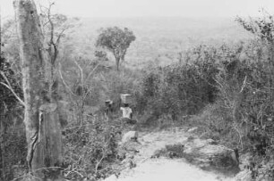Träger beim Abstieg ins Namgarutal : Savannenlandschaft mit einem Expeditionsträger