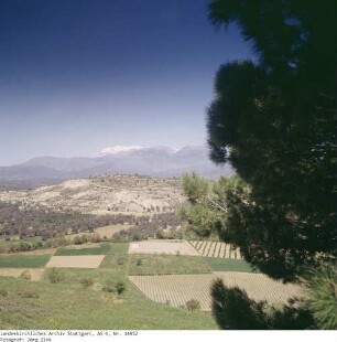 Kreta: Phaistos