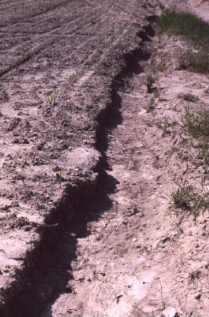 Fotografie: Bodenbearbeitung, Wendende Bodenbearbeitung, Erosion