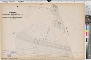Tungerloh-Pröbsting (Gescher), Umlegung Tungerloh  Weißes Venn, Bl. 11 Urkarte I Tungerloh-Pröbsting Flur 28,10