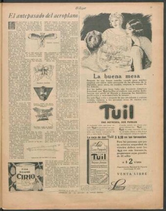 El antepasado del aeroplano
