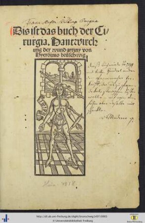 Dis ist das buch der Cirurgia. Hantwirchung der wundartzny