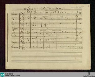 Waltzes - Don Mus.Ms. 1095 : orch; D