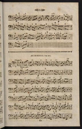 Antiphona II.