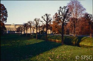 Potsdam, Park Sanssouci, Bullenwiese, Kastanien bei den Stichgräben.