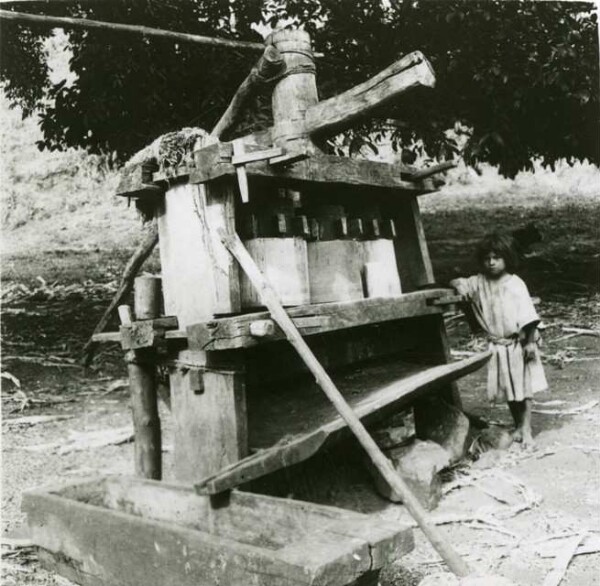 Sugar press in Donachui