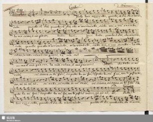 742. Aria: Belle luci vezzosette / Naumann, J.G.