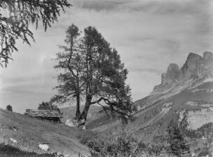 Hütte in den Dolomiten : Eine Berghütte mit Baum an einem Hang. Im Hintergrund die Dolomiten