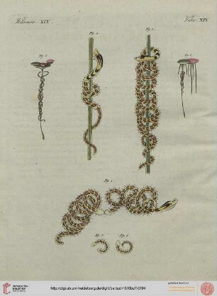 B.VII. No. 51 - B.VII. No. 60