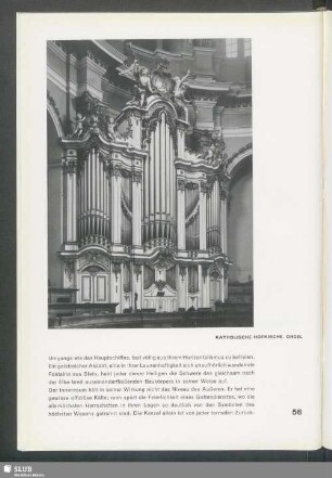 Katholische Hofkirche. Orgel