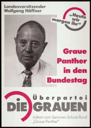 Die Grauen, Bundestagswahl 1990