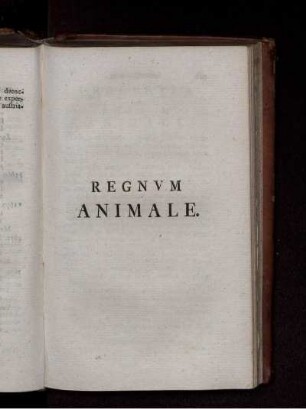 REGNVM ANIMALE.