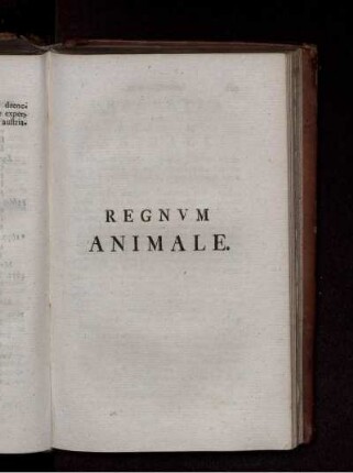 REGNVM ANIMALE.