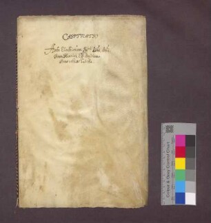Kapitulation vor der Wahl des Basler Bischofs Johann Heinrich von Ostein.