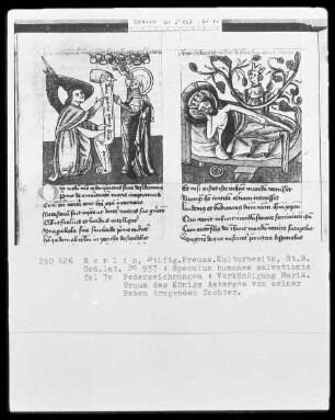Speculum humanae salvationis — ---, Folio 7versoBuchseite