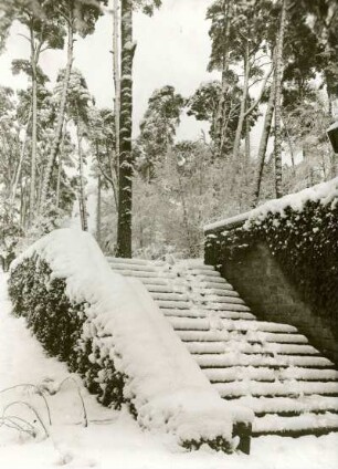 Waldfriedhof im Schnee
