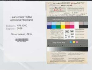 Entnazifizierung Alois Sistermanns, geb. 13.07.1894 (Steuerbeater)