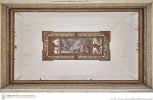 Palazzo Barberini, Piano nobile, Sala del Diluvio Universale