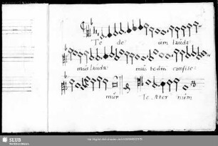 Ludwig Senfl: Te Deum