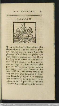 Canard