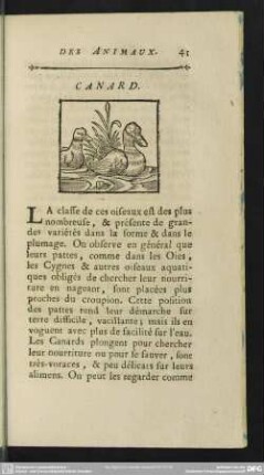 Canard