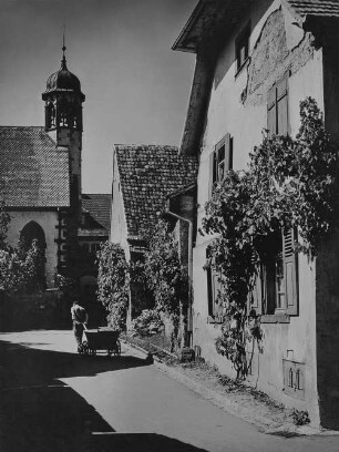 Archivfotografie "kaiserstuhl_riegel_3877"