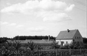 Nierswalde: Reichswaldsiedlung, Hof mit Gärtnerei