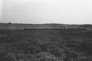 Landschaft bei Amsterdam : Blick auf eine Wiesen- und Weidelandschaft mit Eisenbahn
