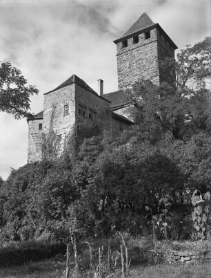 Burg Lichtenberg