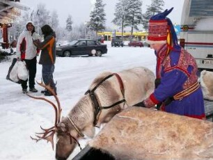 Weihnachtsmanndorf am Polarkreis in Finnland. : Ein Same in traditioneller Tracht schirrt ein Rentier an einen Schlitten an. Aufgenommen im Dezember 2007. Foto: Uwe Gerig.