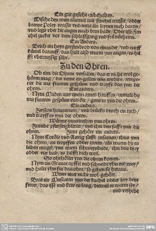 Zu den Ohren.