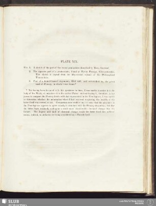 Plate XIX