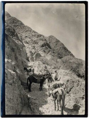 Cuesta de la Escalera, östlich von Tarija
